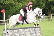 What are the Different Types of Jumps in Cross-Country Riding?