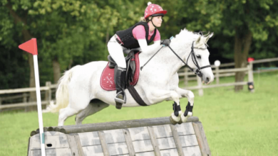 What are the Different Types of Jumps in Cross-Country Riding?