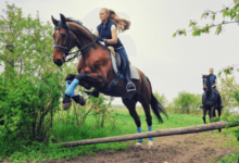 How can one prevent injuries in cross-country riding?