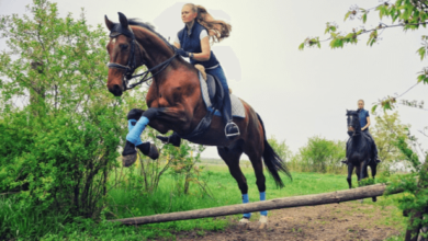 How can one prevent injuries in cross-country riding?