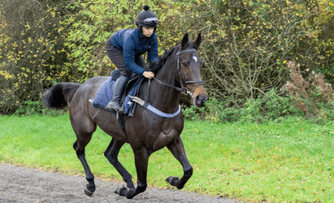 How can one train a horse for polocrosse?