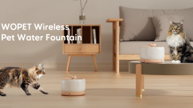 ceramic wireless wopet pet water fountain