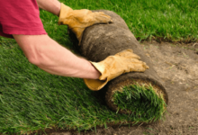 The Best Time to Lay New Turf in Wollongong