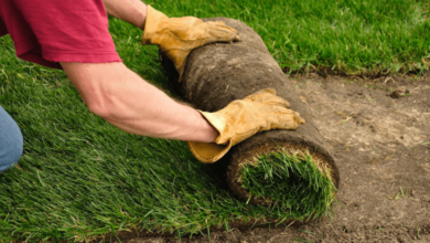The Best Time to Lay New Turf in Wollongong