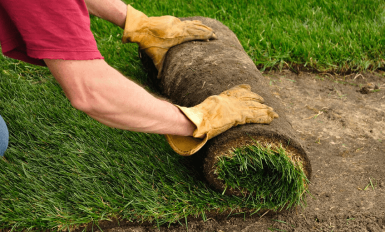 The Best Time to Lay New Turf in Wollongong
